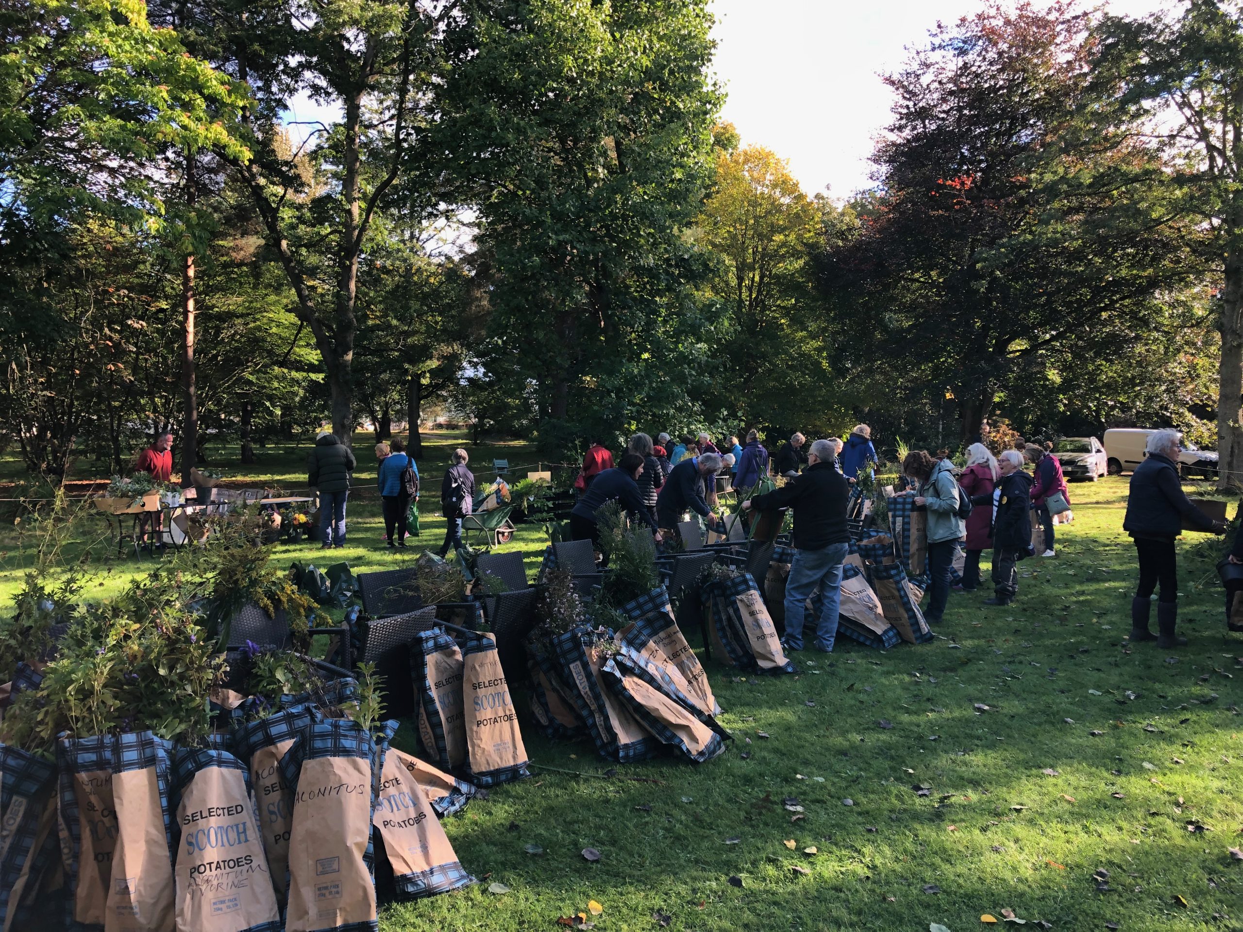 People taking part in a plant sale at St Andrews Botanic Garden